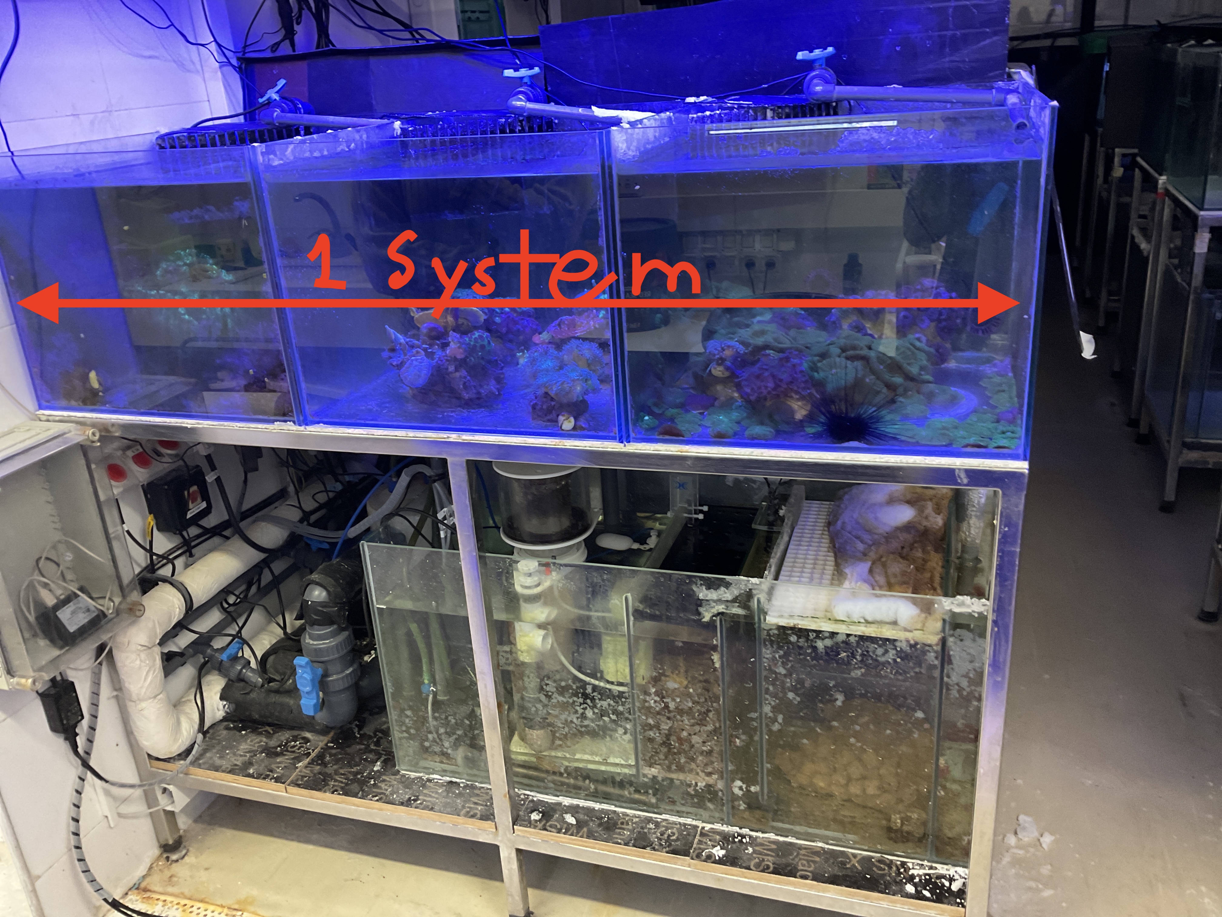 Figure 1: Annotated aquarium photo